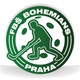 Florbalová škola Bohemians - logo_2