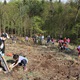 Sázení stromků s dětmi v Krčském lese