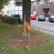 Blíže nespecifikovaný obrázek