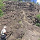  Barrandovské skály - geologická exkurze