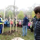 Pod Branickou skalou se 22. října 2019 uskutečnila tradiční akce - Den stromů. Až do 16 hodiny zde na příchozí čekaly čtyři stánky s informacemi o lesích v Praze. V rámci akce byly také vysazeny do parku dva vzrostlejší javory. Akci podpořil svou přítomností i radní pro životní prostředí Tomáš Hrdinka (ANO 2011).