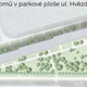 Obnova stromořadí v ulici Hvězdova