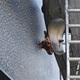 Plastika Vazby se po restaurování vrátí zpět na fasádu ZŠ Filosofská