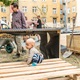 Komunitní sázení v Nuslích - úprava vnitrobloku na rohu Mečislavovy a Ctiradovy ulice - 17. 8. 2016