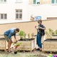 Komunitní sázení v Nuslích - úprava vnitrobloku na rohu Mečislavovy a Ctiradovy ulice - 17. 8. 2016