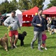 V parku Na Pankráci proběhl v neděli 11. září 2022 již 9. ročník oblíbené „zábavy pro psa i celou rodinu“ - PesFest 2022. Příchozí mohli vidět různá vystoupení psů a komentované ukázky výcviku, agility park, psí poradny, oblíbené psí soutěže, prodej chovatelských potřeb a samozřejmě vyhlášení sympaťáka PesFestu 2022.