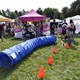 V neděli 5. září 2021 se na Pankrácké pláni uskutečnil již 8. ročník oblíbeného festivalu PesFest. Ten je věnovaný především čtyřnohým společníkům člověka. Celým festivalem provázel moderátor Miroslav Konvalinka a na zdárný průběh dohlížela zakladatelka akce – zastupitelka naší městské části Praha 4 a předsedkyně bezpečnostního výboru Lucie Michková (ODS). V průběhu odpoledne si příchozí návštěvníci mohli se svým zvířecím doprovodem vyzkoušet agility, aport buřtem nebo si zasoutěžit v chytání piškotu. Příchozí mohli i zakoupit různé potřeby pro své čtyřnohé parťáky a tím přispět na opuštěná zvířata v útulcích. 