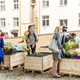 Komunitní sázení v Nuslích - úprava vnitrobloku na rohu Mečislavovy a Ctiradovy ulice - 17. 8. 2016