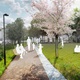 Park V Zápolí projde revitalizací - vizualizace