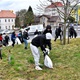 Při příležitosti akcí Ukliďme Česko, Ukliďme svět a Dne Země uspořádali studenti Školy mezinárodních a veřejných vztahů a gymnázia z Michle další ročník svého projektu EKODEN konaného za podpory městské části Praha 4. Společně uklidili vybraná veřejná prostranství v městské části. Letos se do úklidu zapojilo 80 studentů z prvních ročníků, k nimž se ale dobrovolně připojili i někteří studenti druhých a třetích ročníků. Akci zastřešila městská část Praha 4. Akce se zúčastnil i radní Prahy 4 Jan Hušbauer (ANO 2011)  který má na starosti společnosti založené MČ Praha 4, dotační politiku a správu veřejných prostranství.
