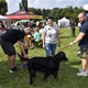 V neděli 5. září 2021 se na Pankrácké pláni uskutečnil již 8. ročník oblíbeného festivalu PesFest. Ten je věnovaný především čtyřnohým společníkům člověka. Celým festivalem provázel moderátor Miroslav Konvalinka a na zdárný průběh dohlížela zakladatelka akce – zastupitelka naší městské části Praha 4 a předsedkyně bezpečnostního výboru Lucie Michková (ODS). V průběhu odpoledne si příchozí návštěvníci mohli se svým zvířecím doprovodem vyzkoušet agility, aport buřtem nebo si zasoutěžit v chytání piškotu. Příchozí mohli i zakoupit různé potřeby pro své čtyřnohé parťáky a tím přispět na opuštěná zvířata v útulcích. 