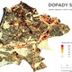 Družicová analýza vegetace, zástavby a mikroklimatu Prahy 4