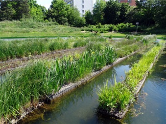 Radnice Prahy 4 plánuje letos na biotopovém koupališti na Lhotce vyřešit problémy s dlouhodobým nedostatkem vody, výrazně zmodernizovat nakládání se sedimenty (kaly), které vznikají při biologickém čištění vody, a doplnit zdejší areál gastrostánky, sportovišti a dalším vybavením. Radnice Prahy 4 plánuje letos na biotopovém koupališti na Lhotce vyřešit problémy s dlouhodobým nedostatkem vody, výrazně zmodernizovat nakládání se sedimenty (kaly), které vznikají při biologickém čištění vody, a doplnit zdejší areál gastrostánky, sportovišti a dalším vybavením.