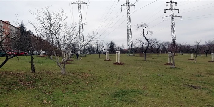 Klimatické podmínky i stáří stromů se v uplynulých letech negativně podepsaly na stavu oblíbeného areálu Třešňovka podél ulice Na Chodovci. Zásluhou projektu radnice Prahy 4 ale nyní Třešňovka získala čtyřicítku nových ovocných stromů. Vzhledem k tomu, že se tento historický sad nachází uprostřed městské zástavby, upřednostnila radnice před druhy čistě produkčními růžově kvetoucí okrasné druhy, které na podzim vybarvují listí i plody do pestrých barev odstínů červené. 