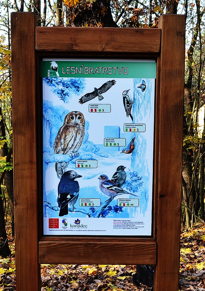 Město z ptačí perspektivy